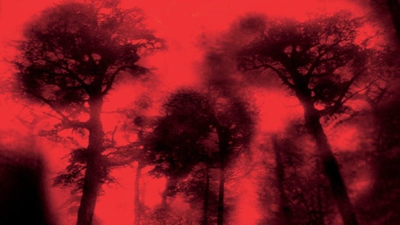 Backdrop de La Cabaña Sangrienta