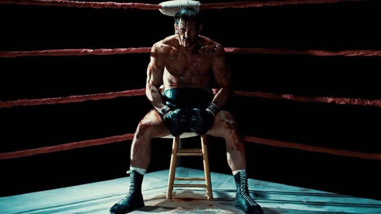 Backdrop de La flor del combate