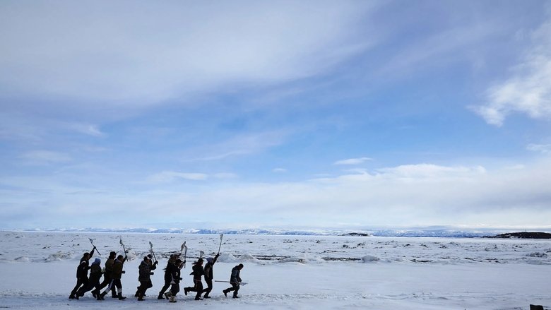 Backdrop de Los Grizzlies