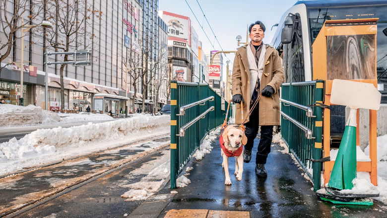 Backdrop de Eternos Compañeros