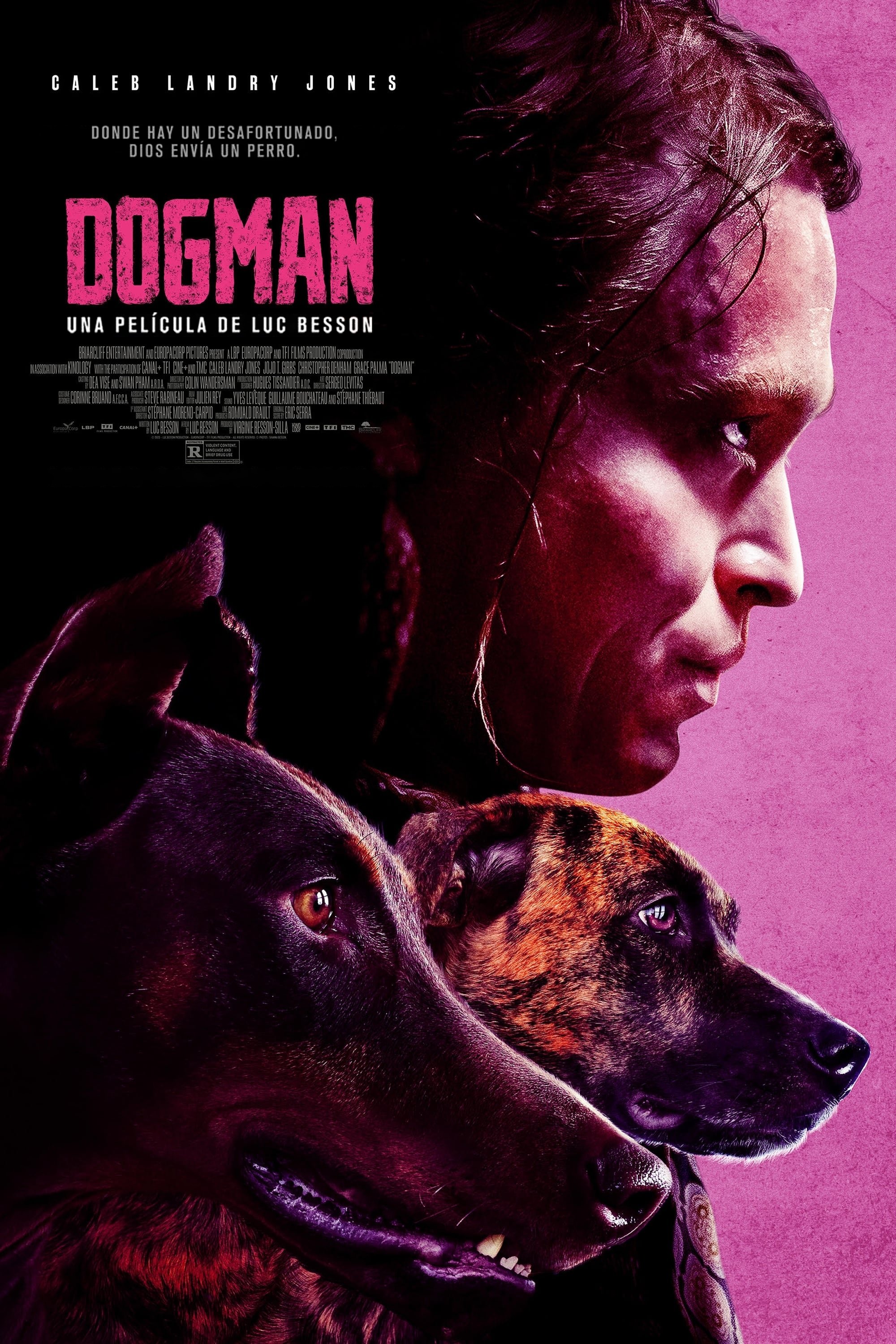 Poster de Dogman: Vida Inquebrantable
