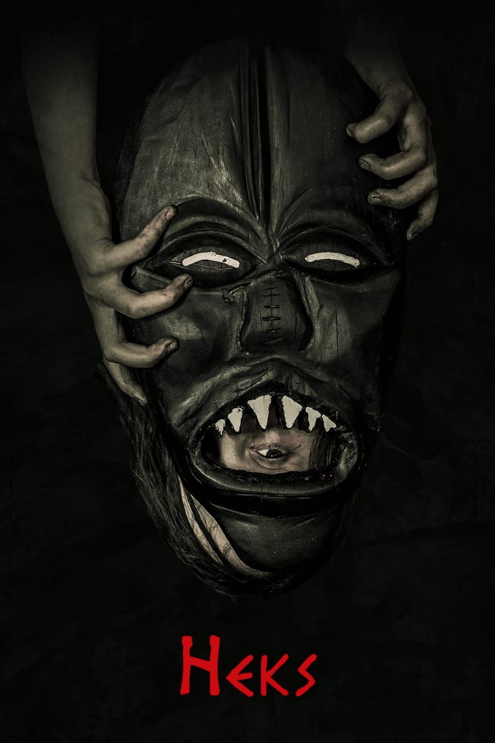 Poster de Heks