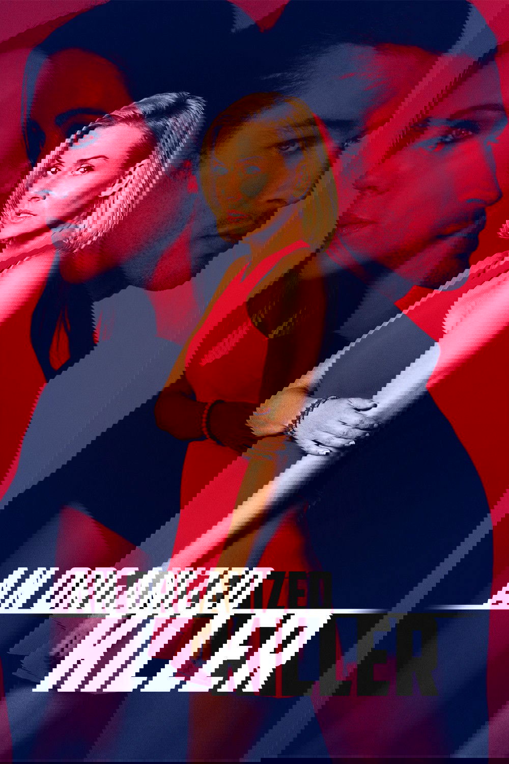 Poster de Asesino organizado