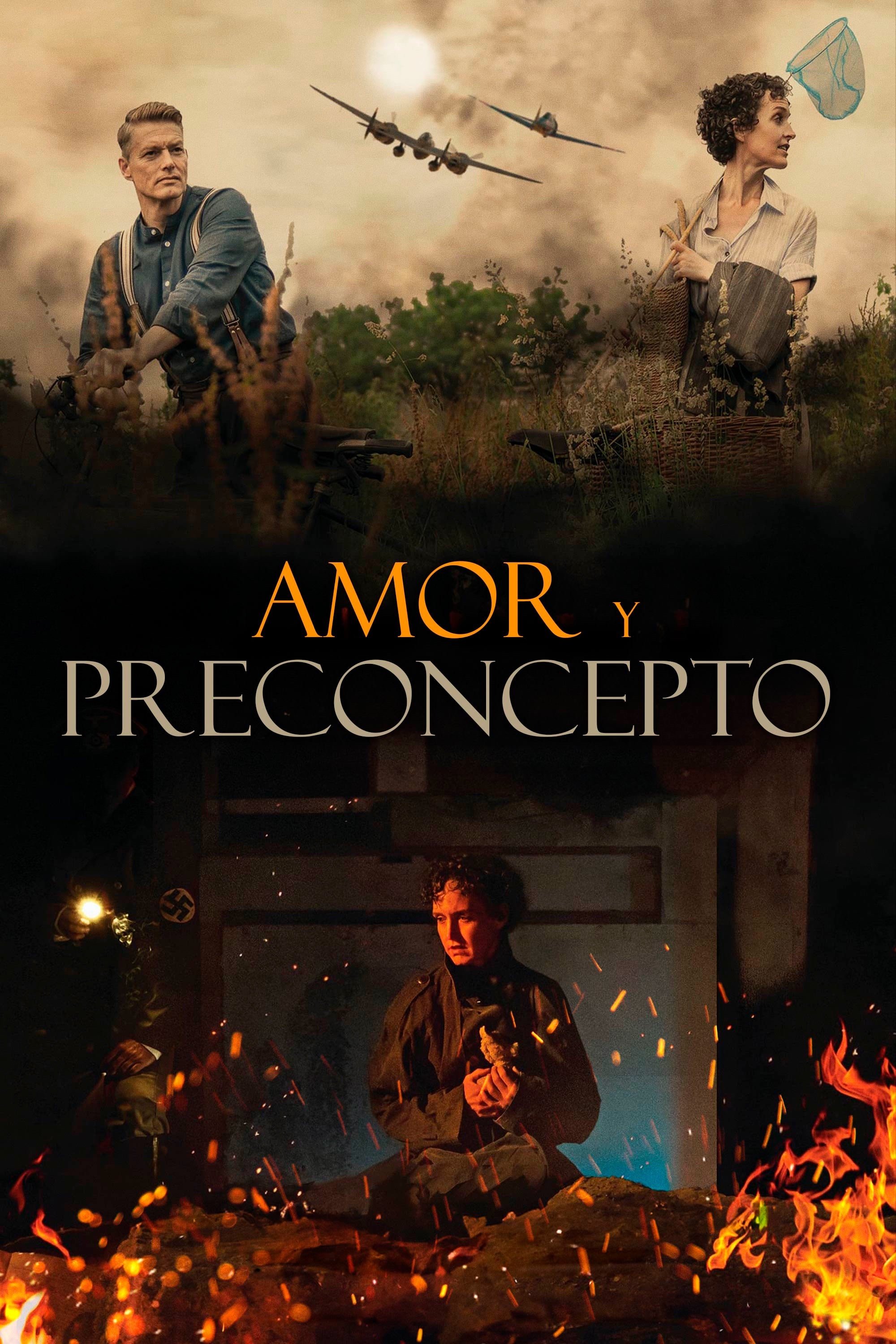 Poster de Amor y preconcepto