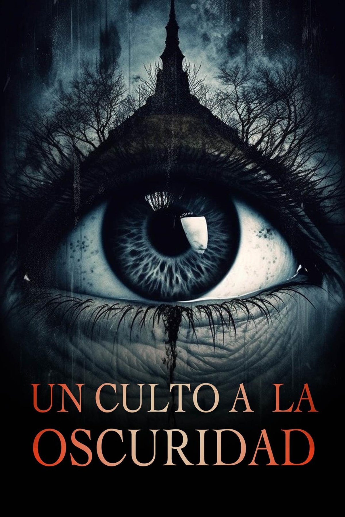 Poster de The Burned Over District