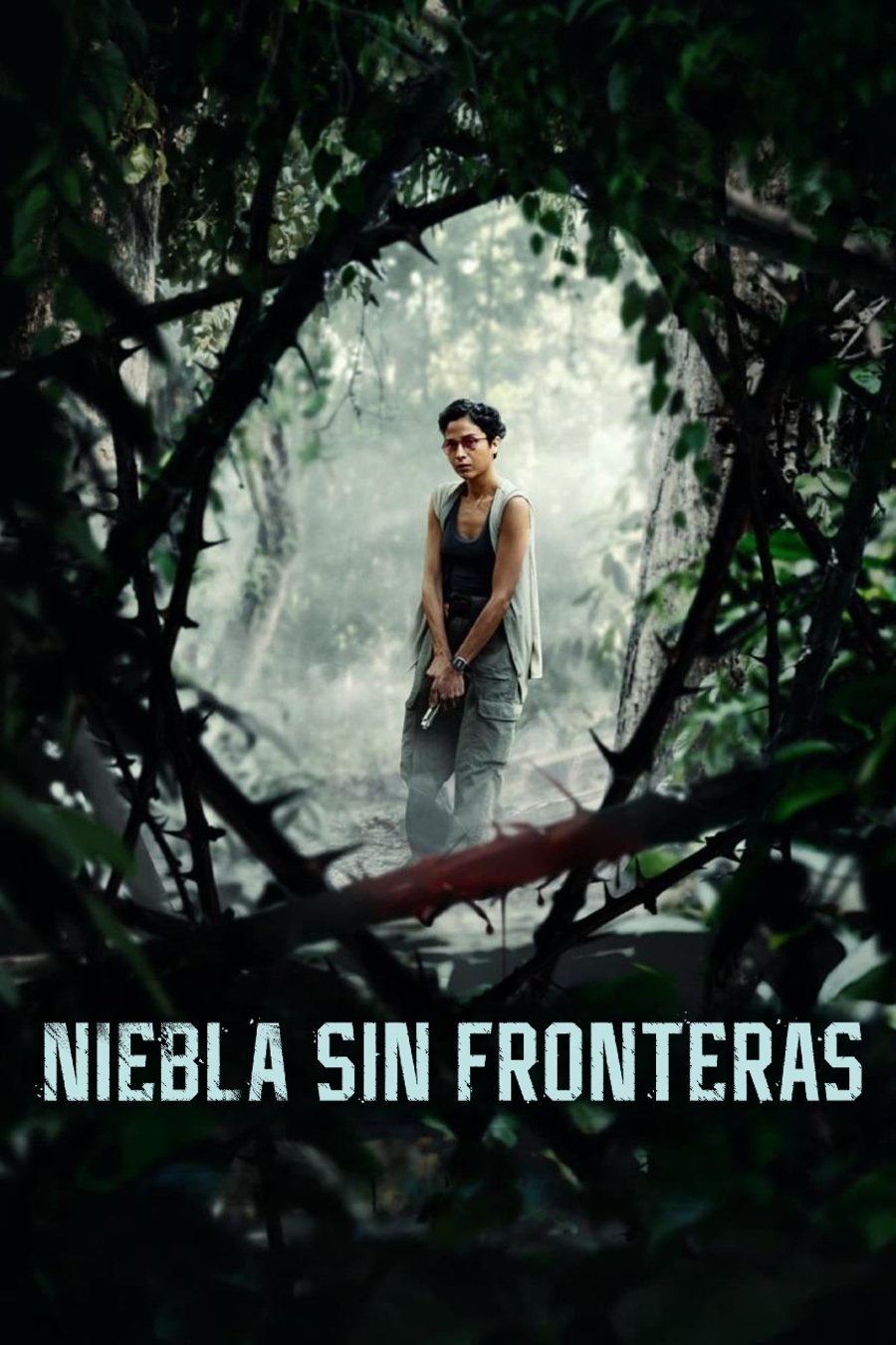 Poster de Niebla sin fronteras