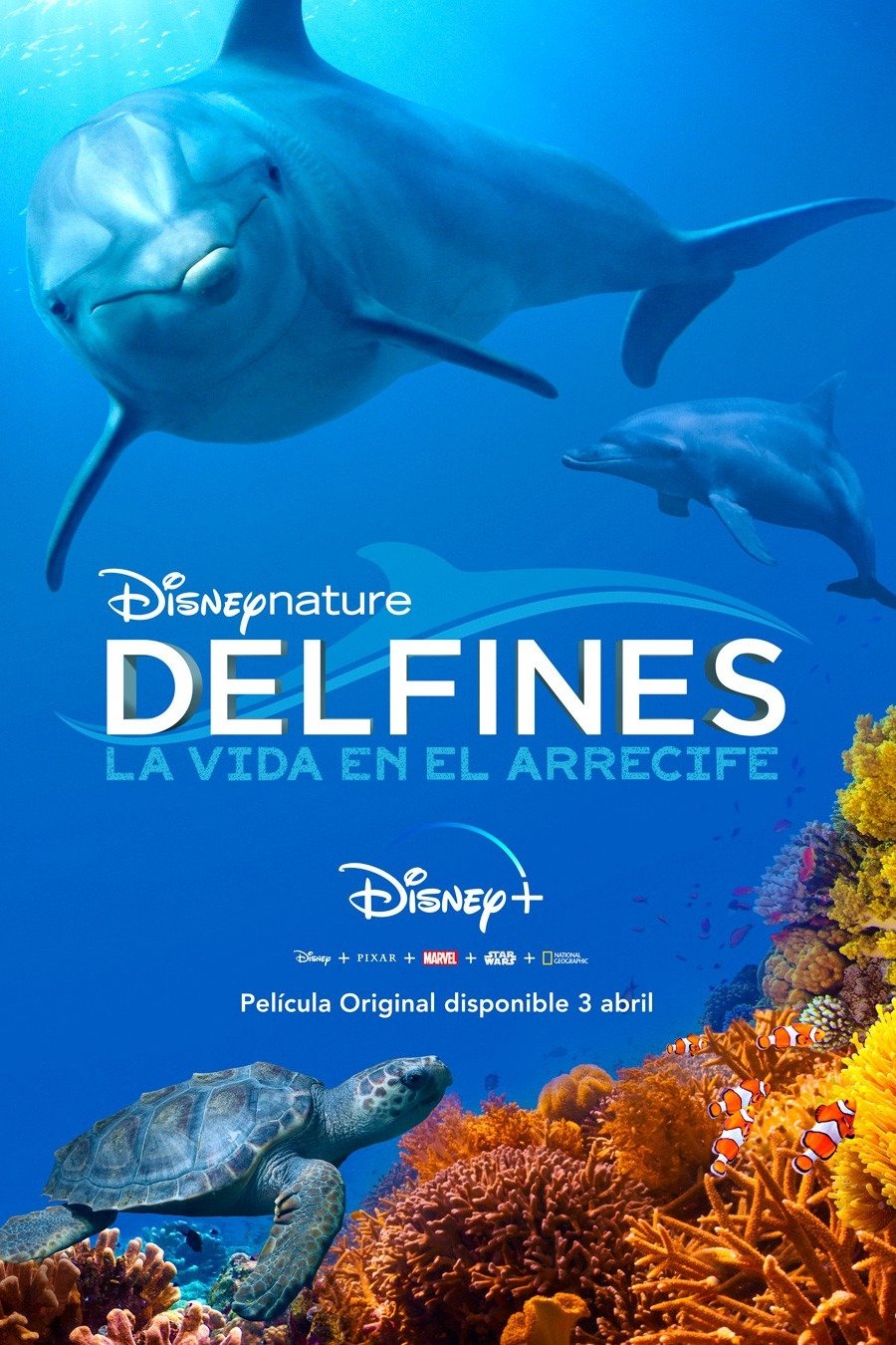Poster de Arrecifes de delfines