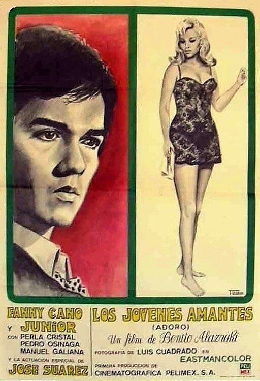 Poster de Los jóvenes amantes