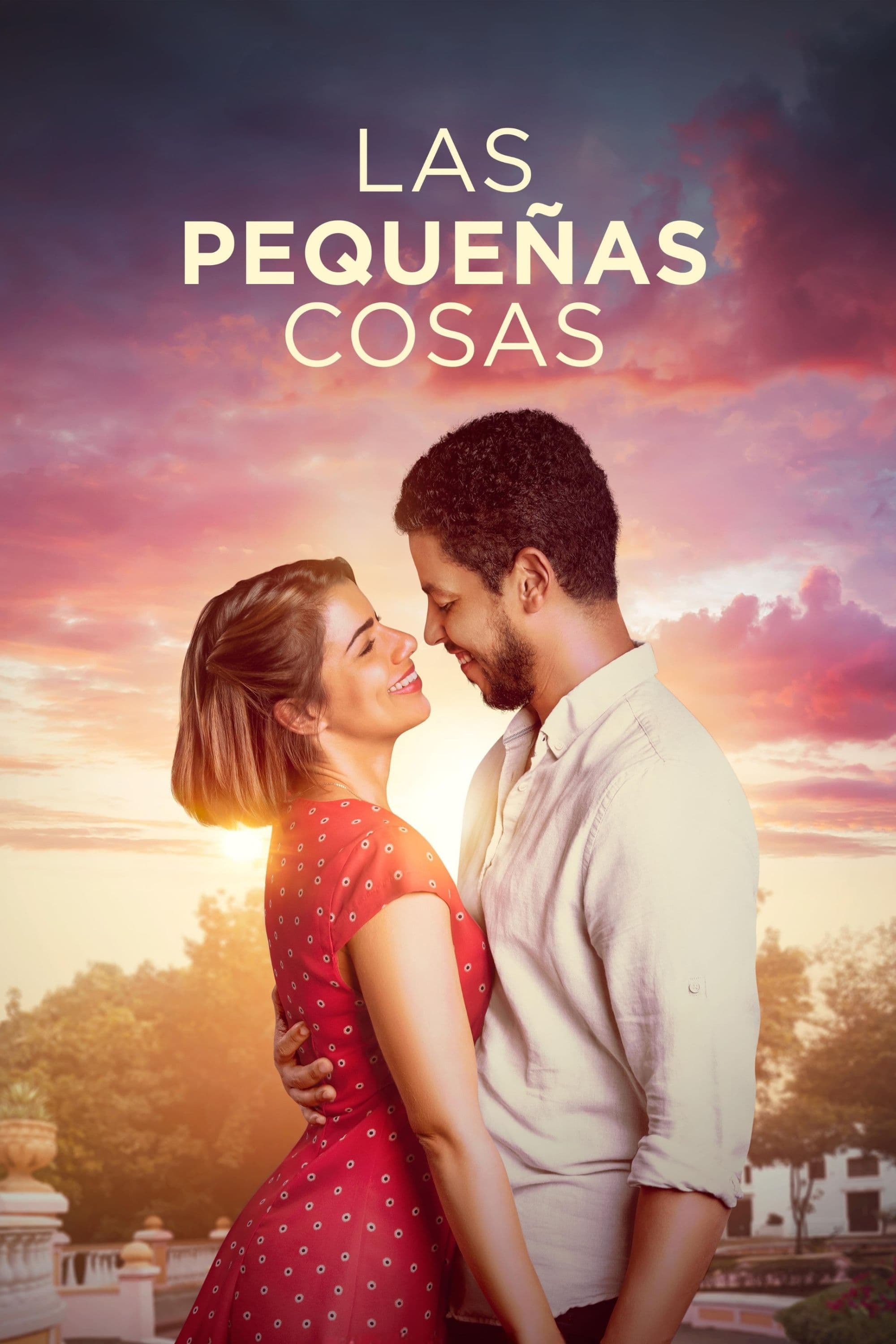 Poster de Las Pequeñas Cosas