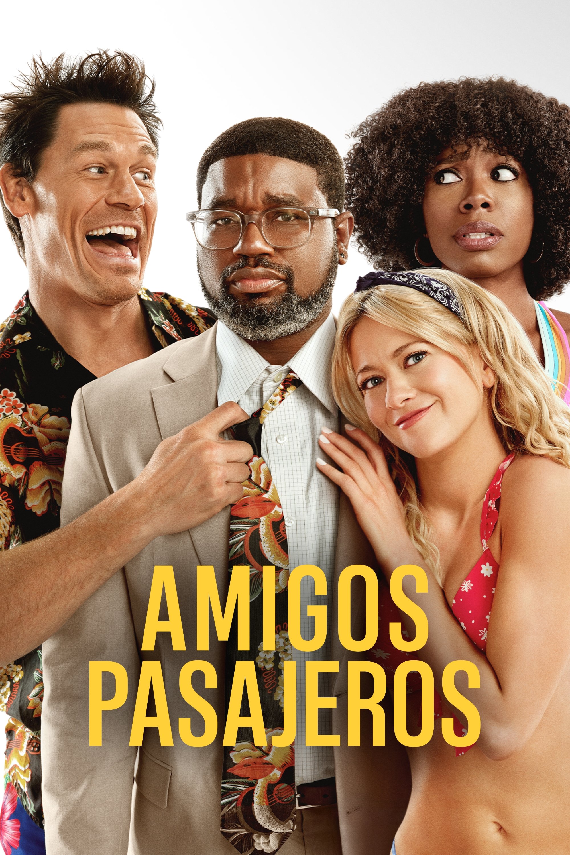 Poster de Amigos de las vacaciones