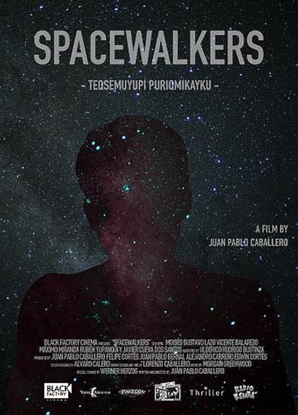 Poster de Spacewalkers