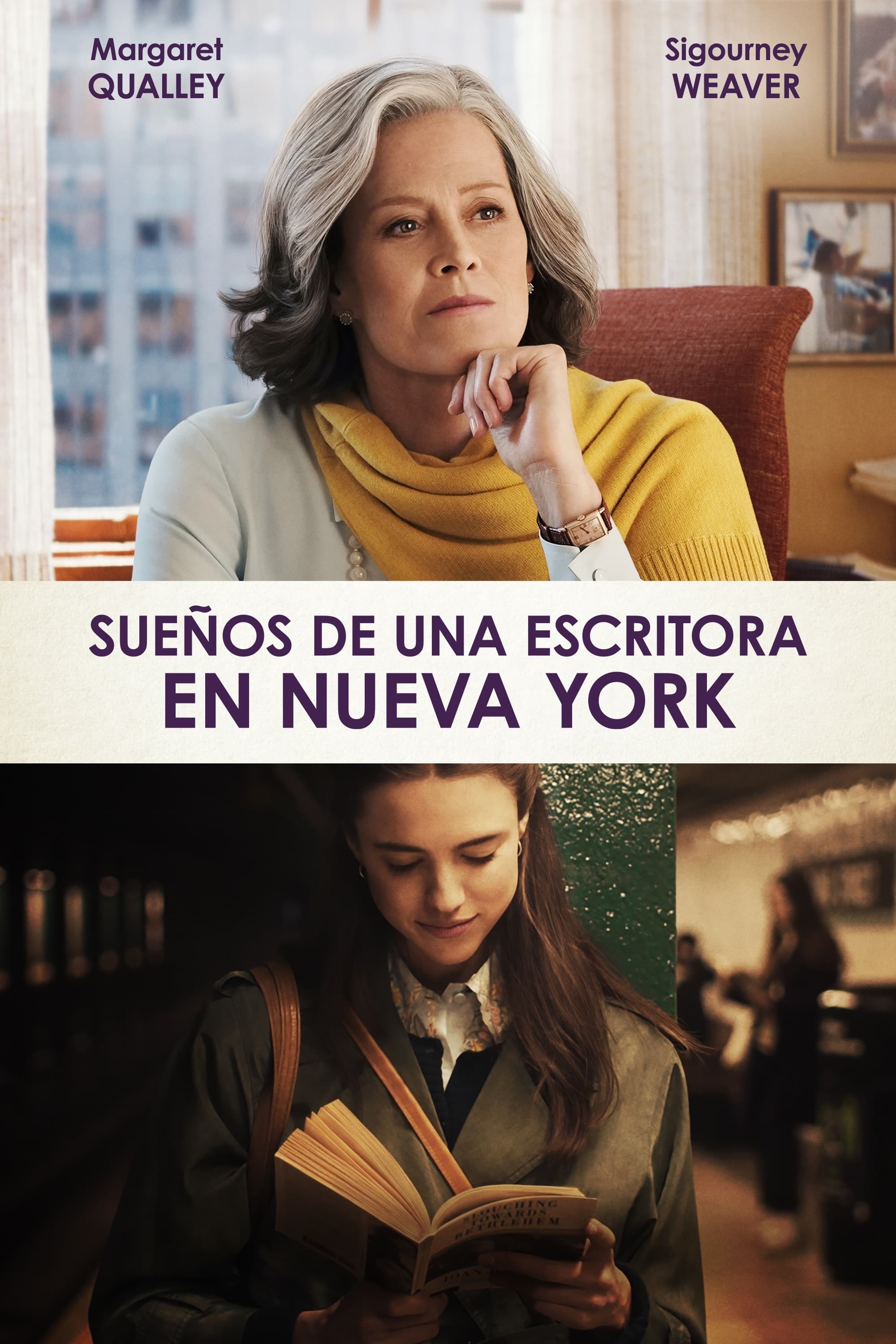 Poster de El trabajo de mis sueños