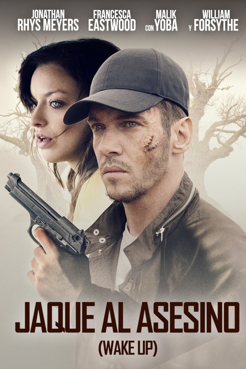 Poster de El despertar de un asesino