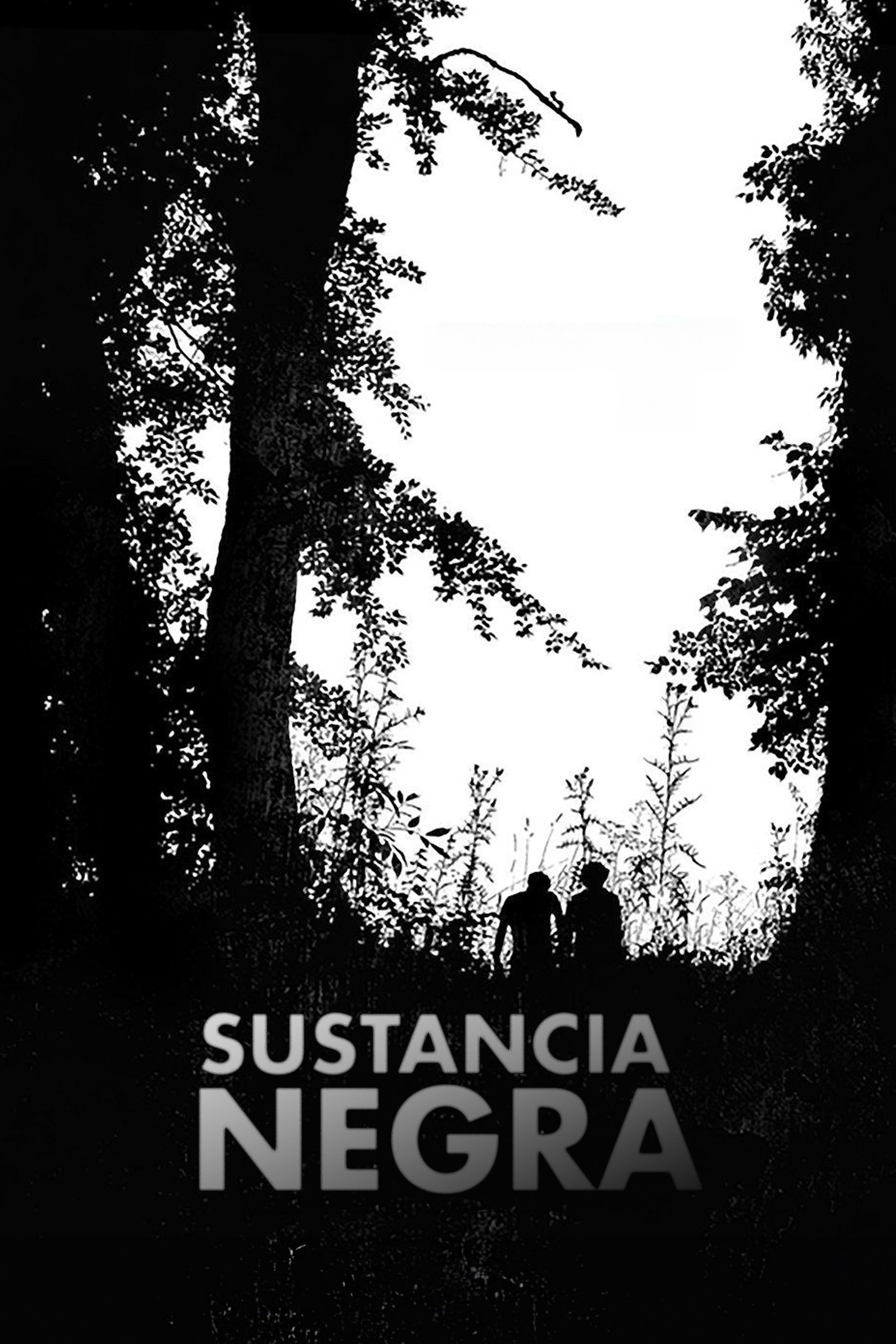 Poster de Substance noire