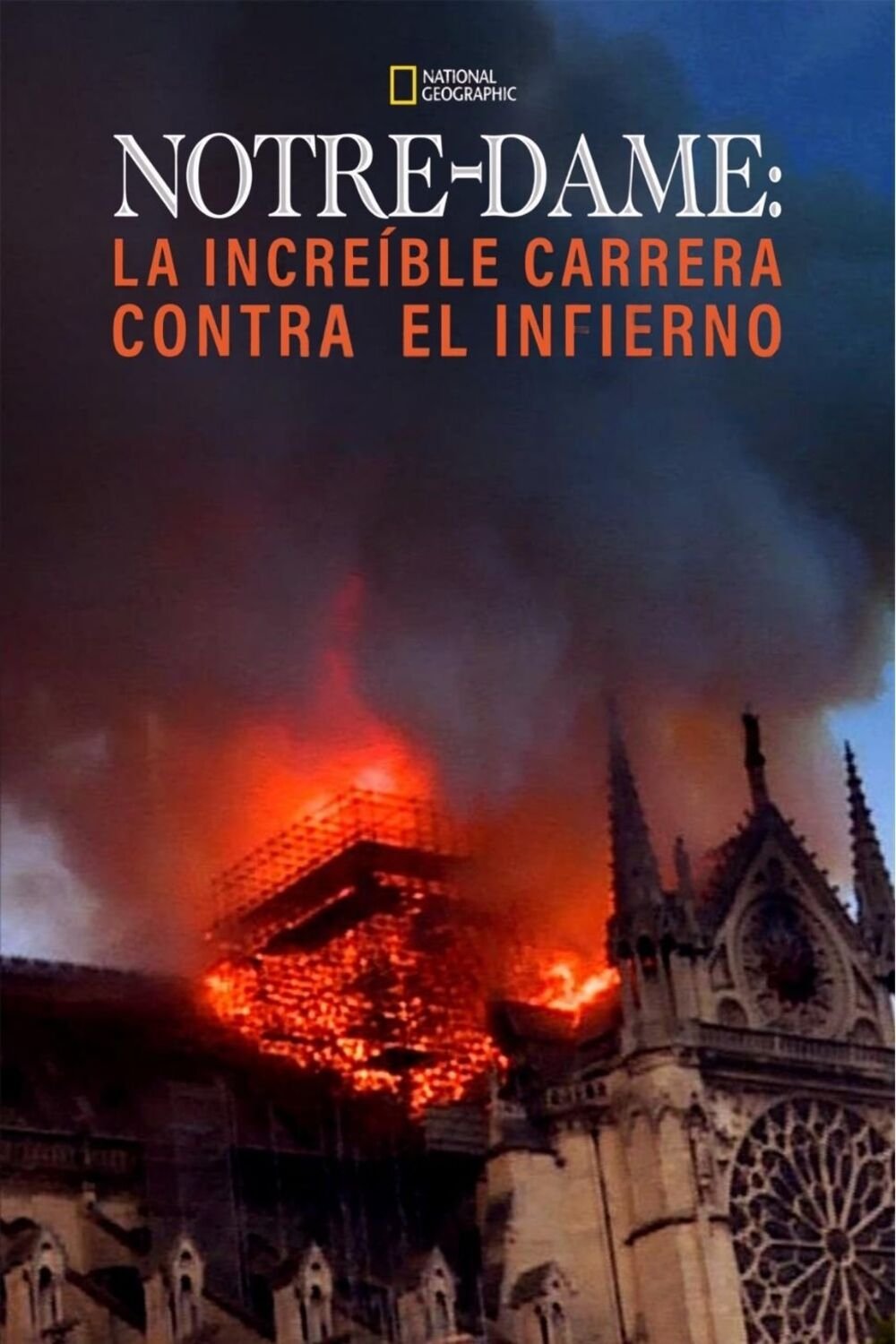 Poster de Notre-Dame: Race Against the Inferno