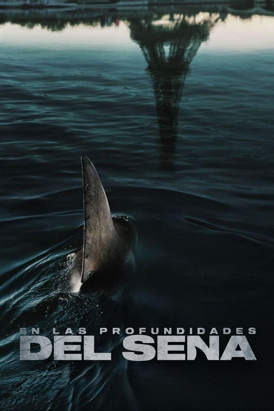 Poster de En las profundidades del Sena