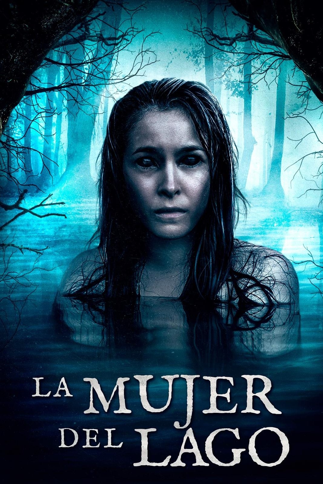 Poster de La Mujer del Lago