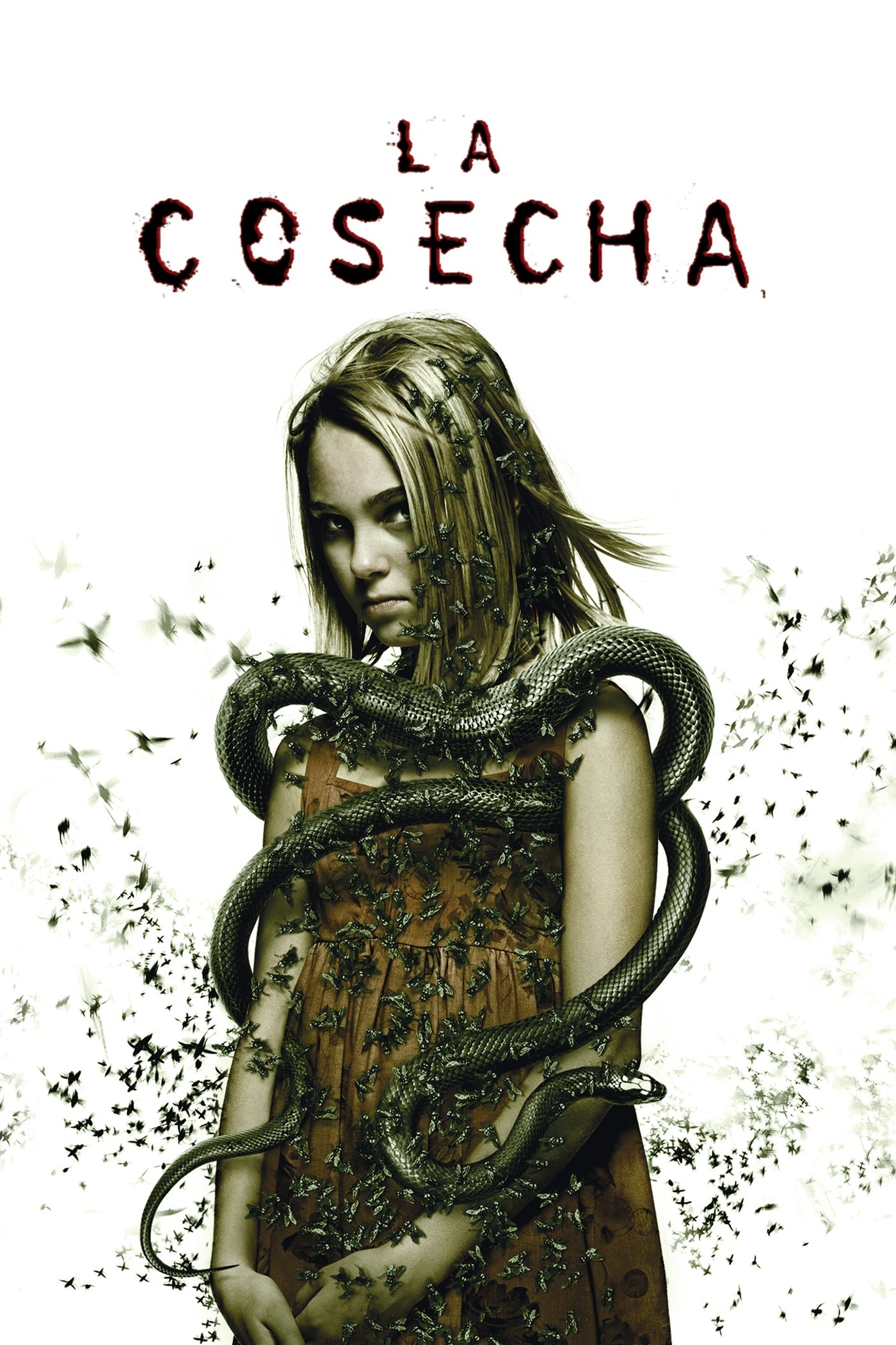 Poster de Prueba de fe