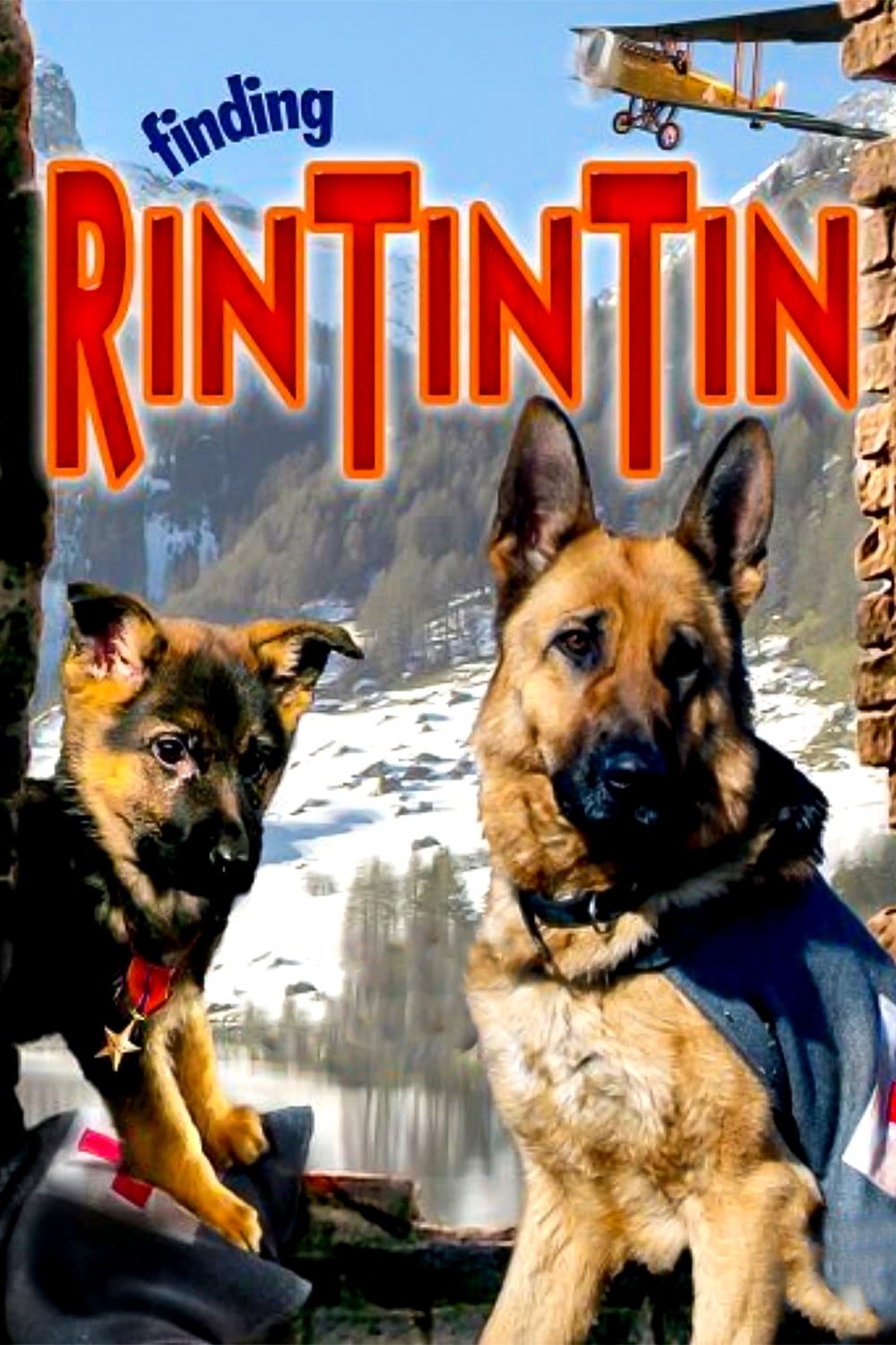 Poster de Las Nuevas Aventuras de Rin Tin Tin