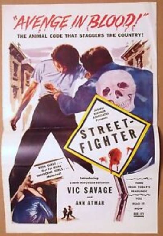 Poster de Street Fighter