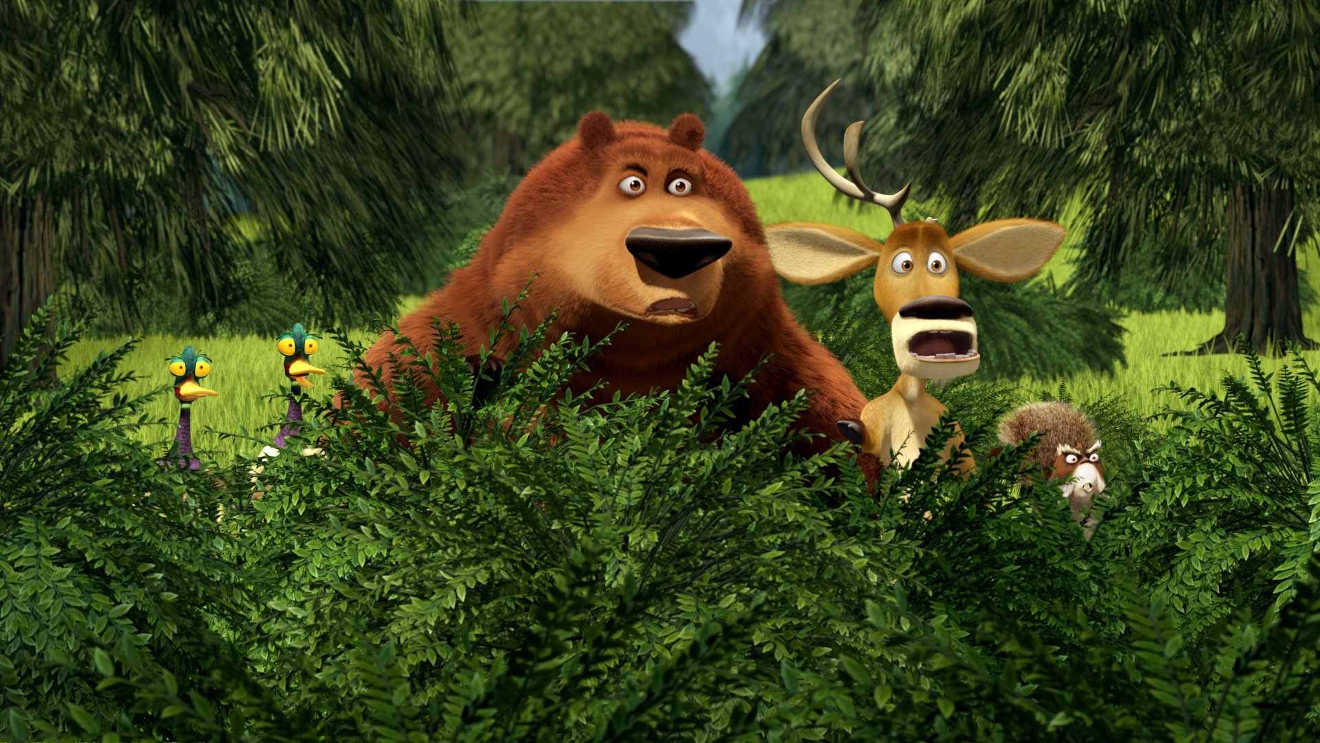 Open Season: amigos salvajes 2