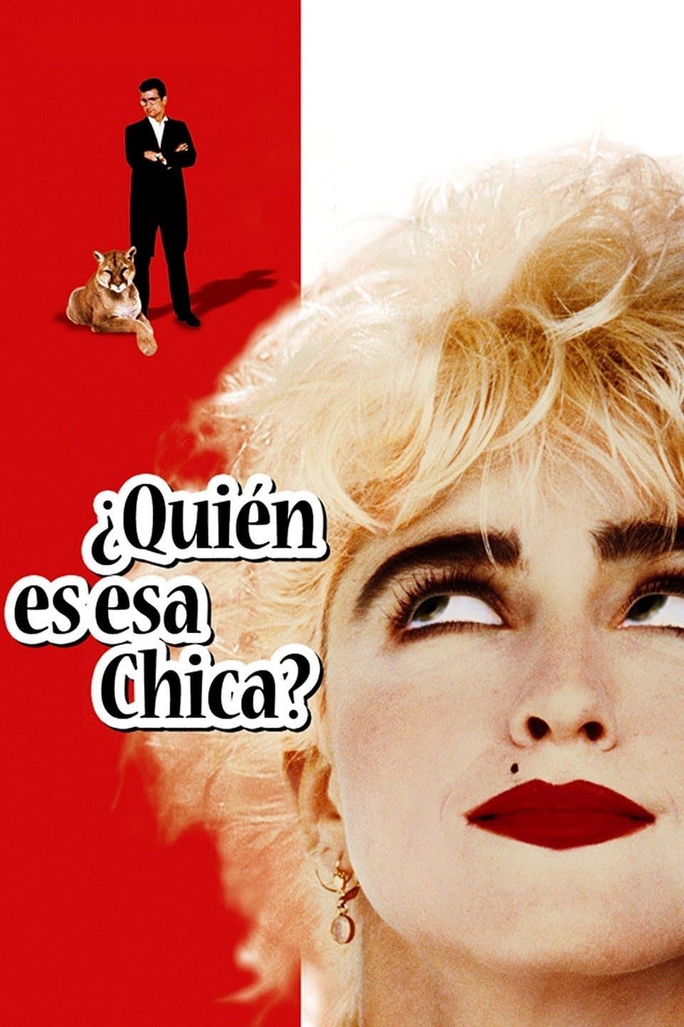 Poster de ¿Quién es esa chica?