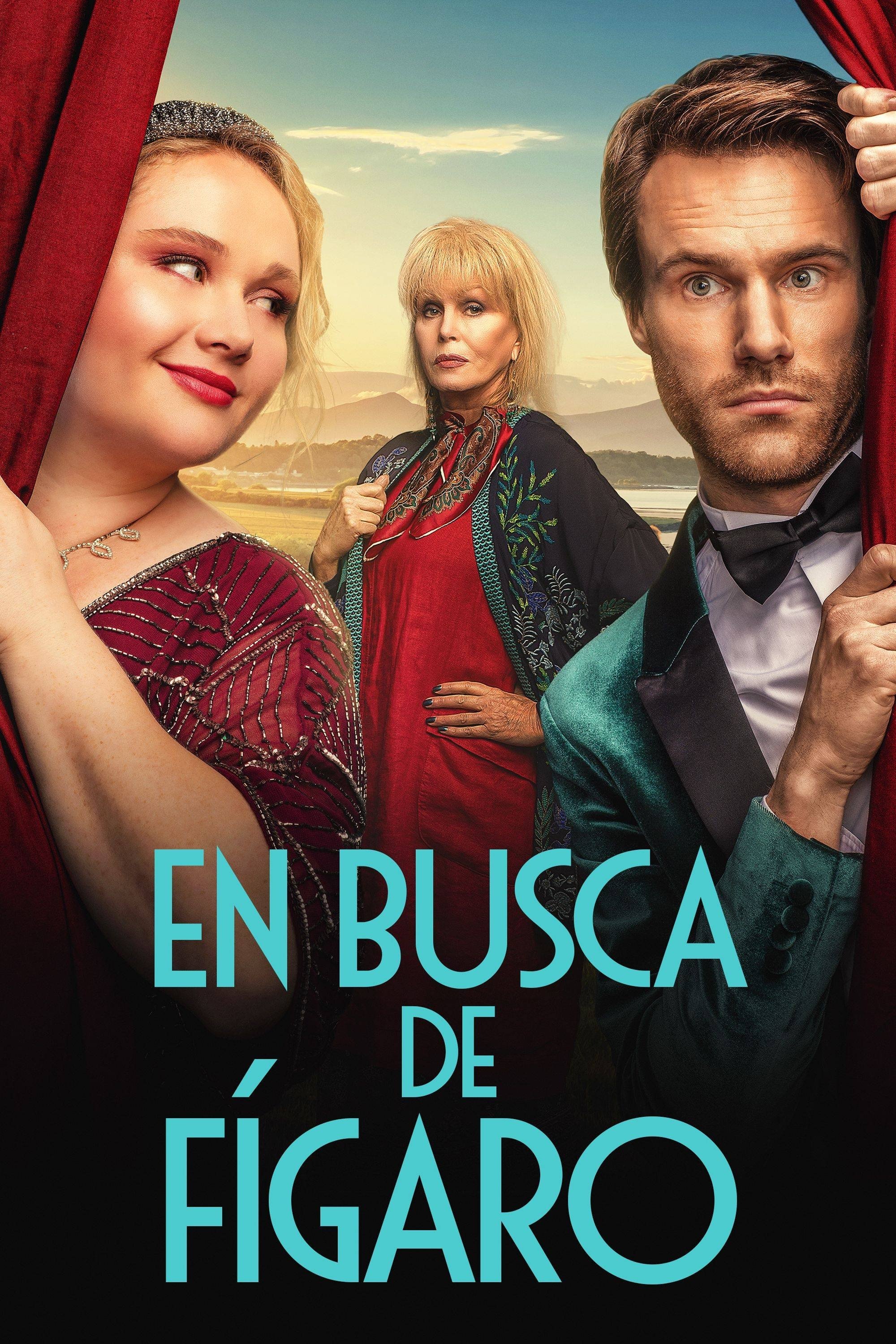 Poster de En busca de Fígaro