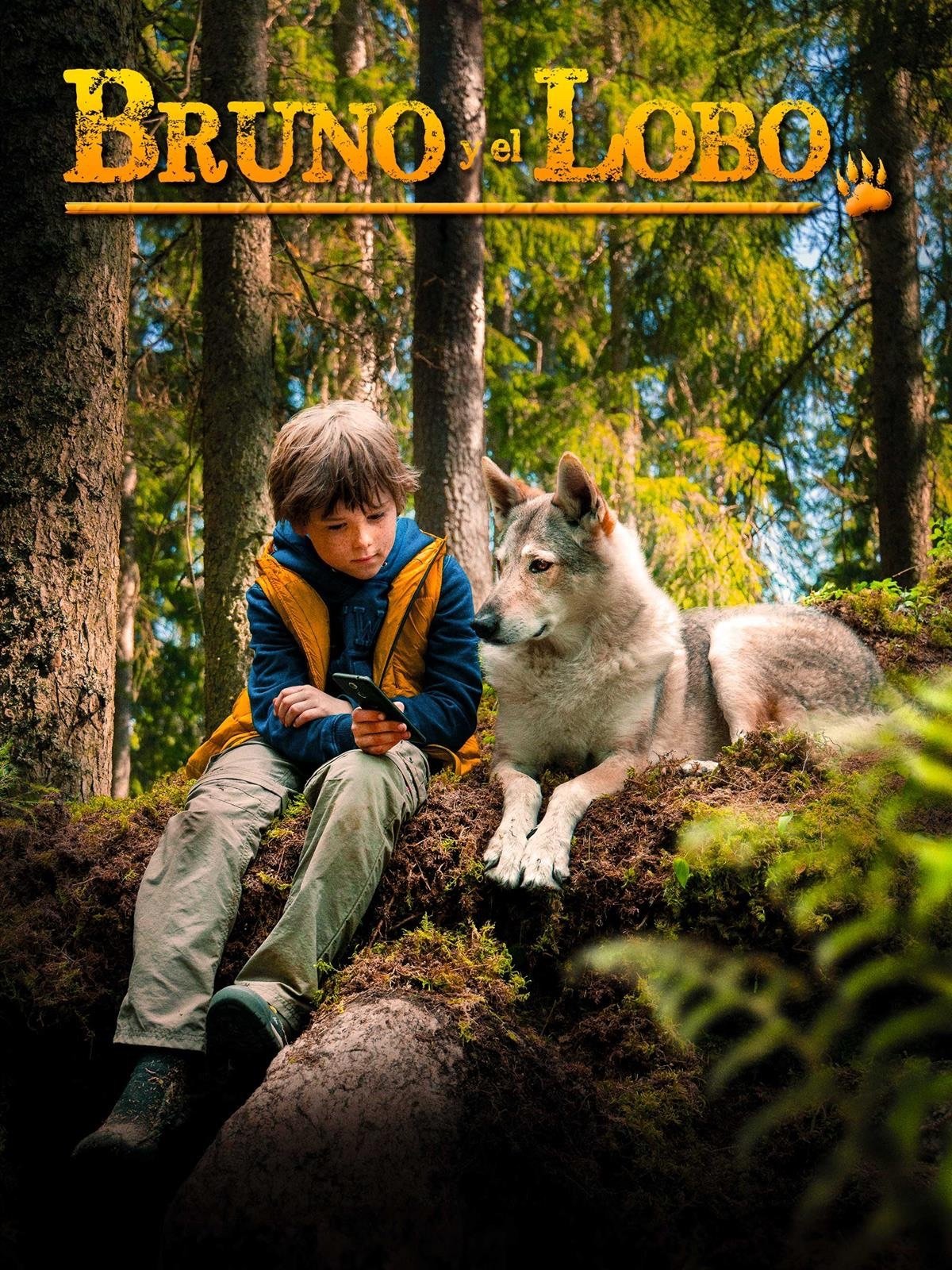 Poster de Taiki