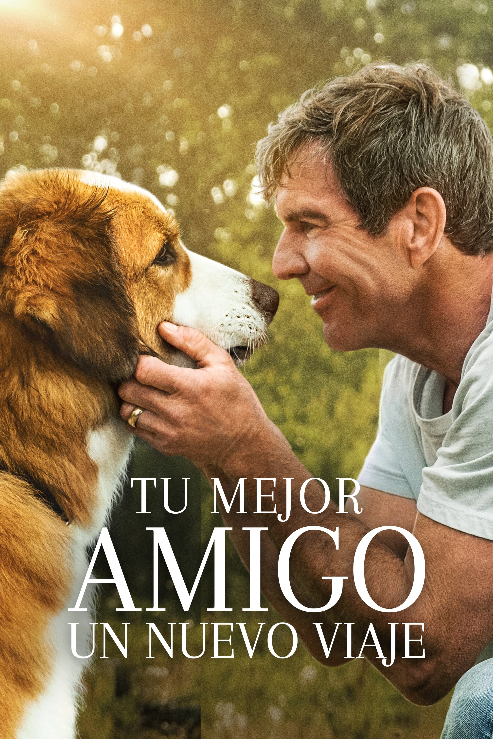 Poster de La Razón De Estar Contigo 2: Un Nuevo Viaje