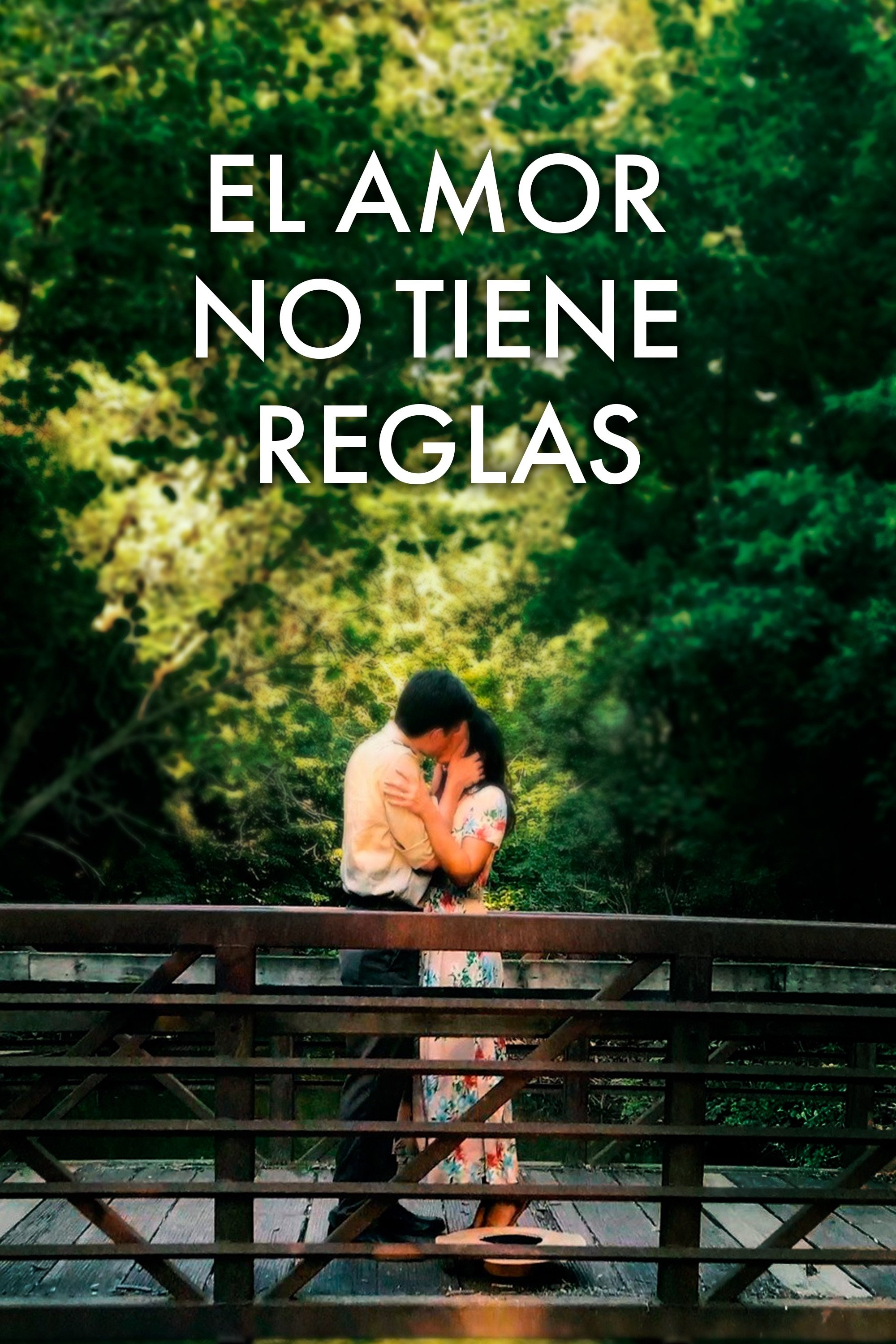 Poster de El amor no tiene reglas