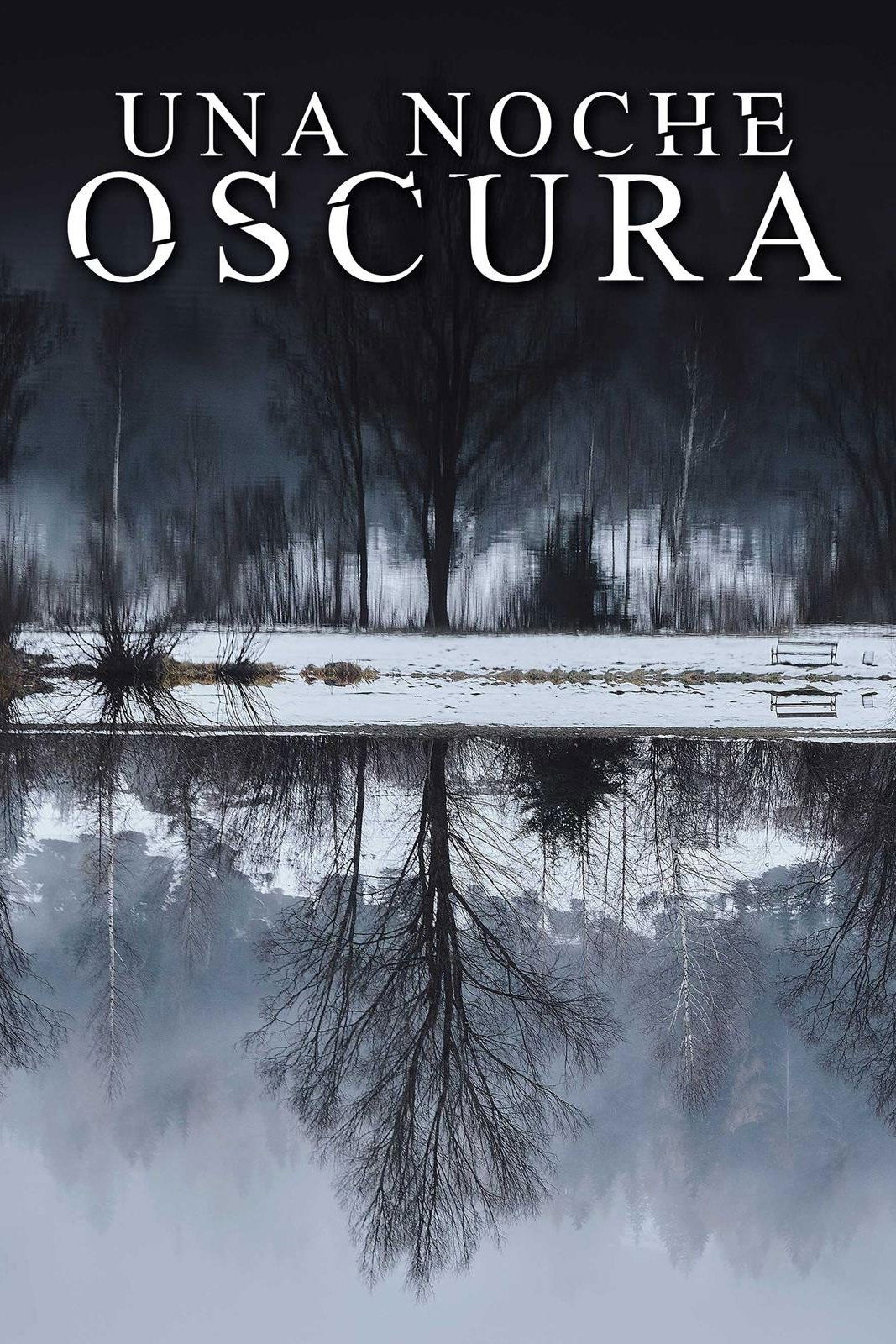 Poster de Una noche oscura