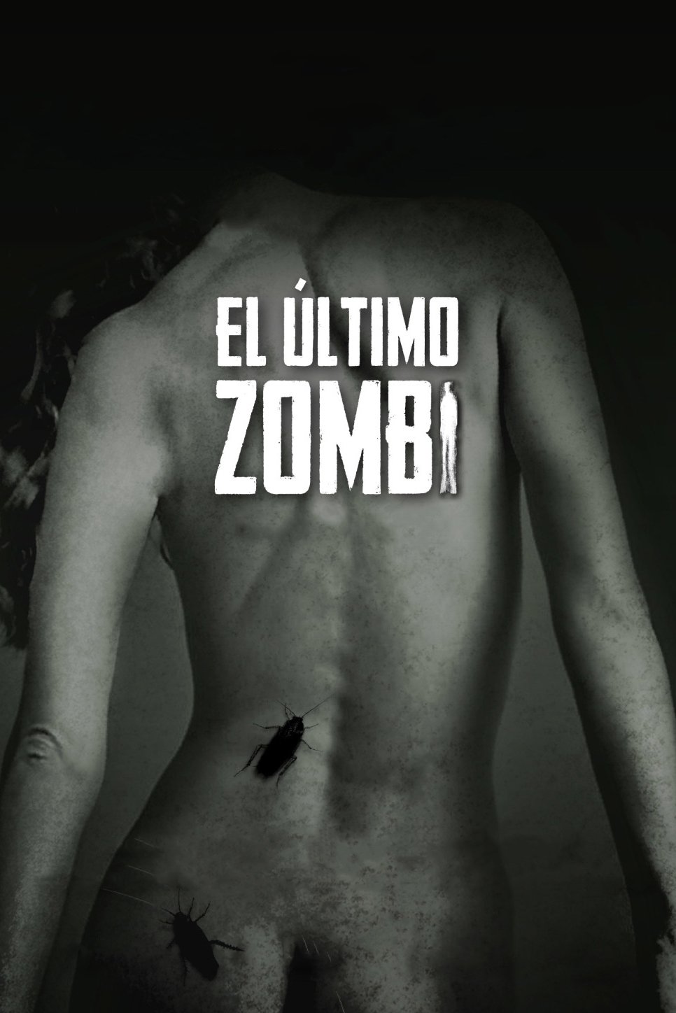 Poster de El último zombi