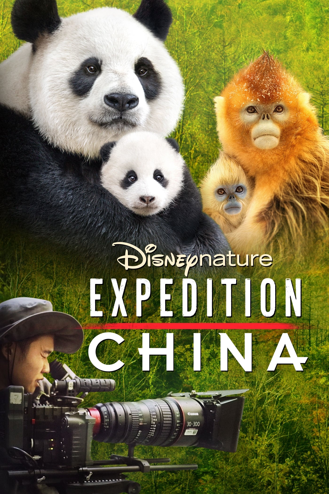 Poster de Expedición a China