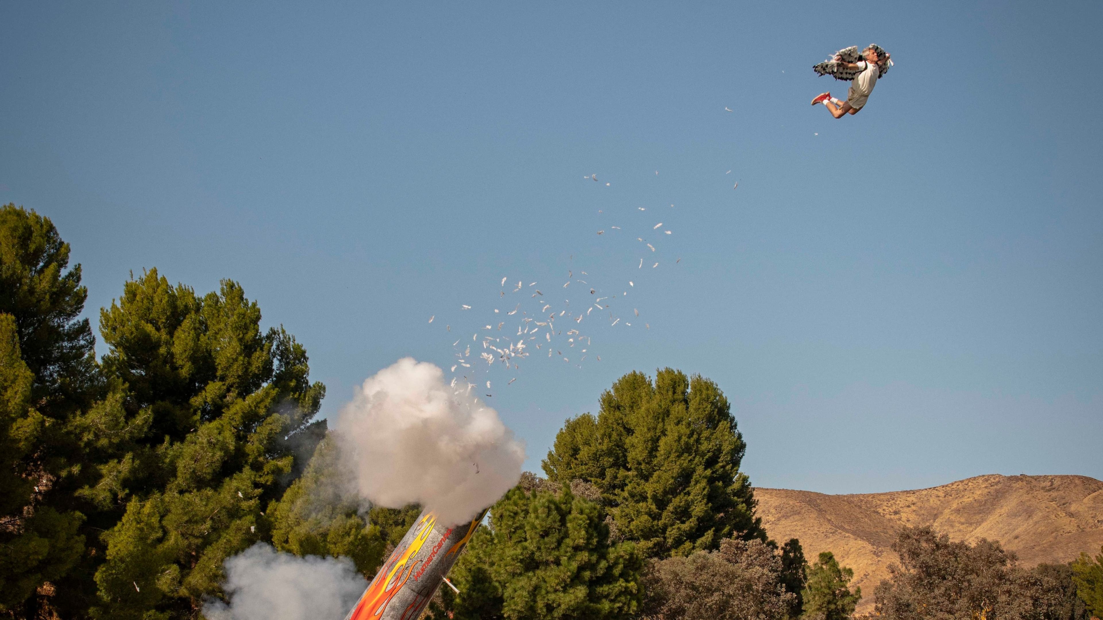 Backdrop de Jackass por Siempre