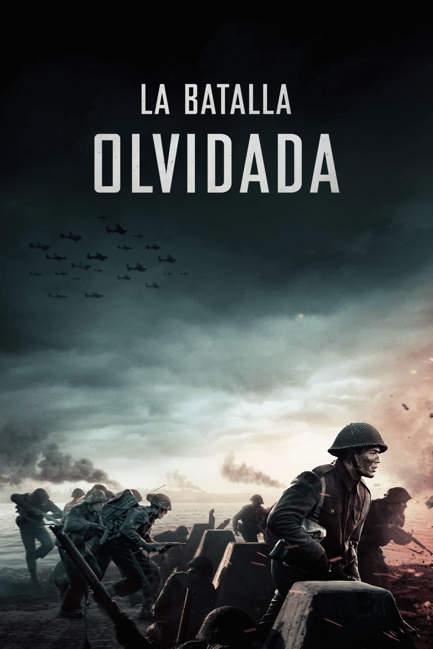 Poster de La batalla olvidada