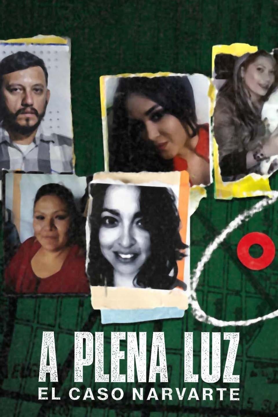 Poster de A plena luz: El caso Narvarte