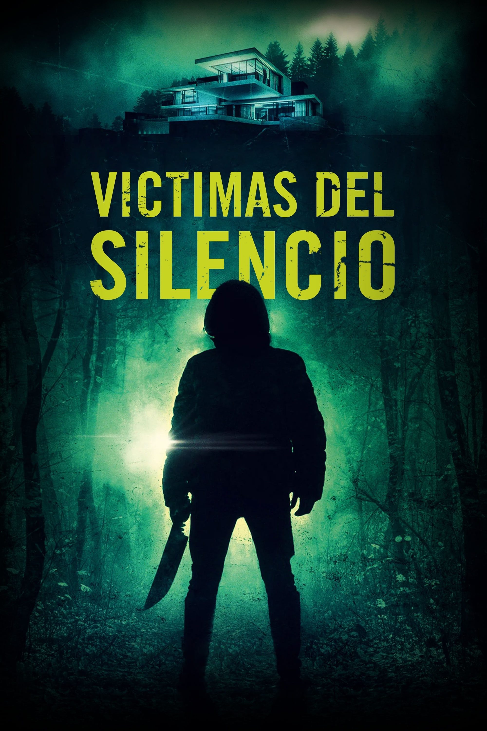 Poster de Victimas del Silencio