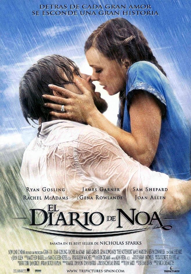 Poster de Diario de una pasión
