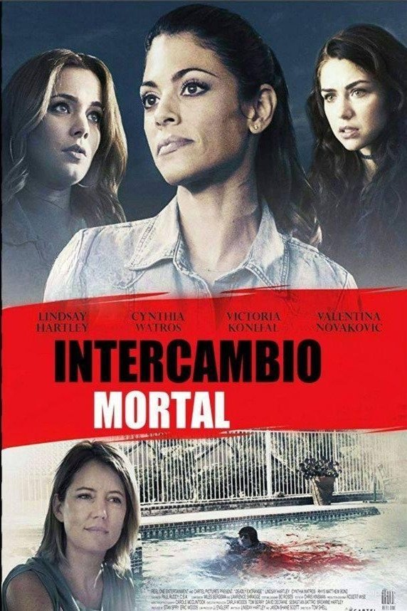 Poster de Deadly Switch