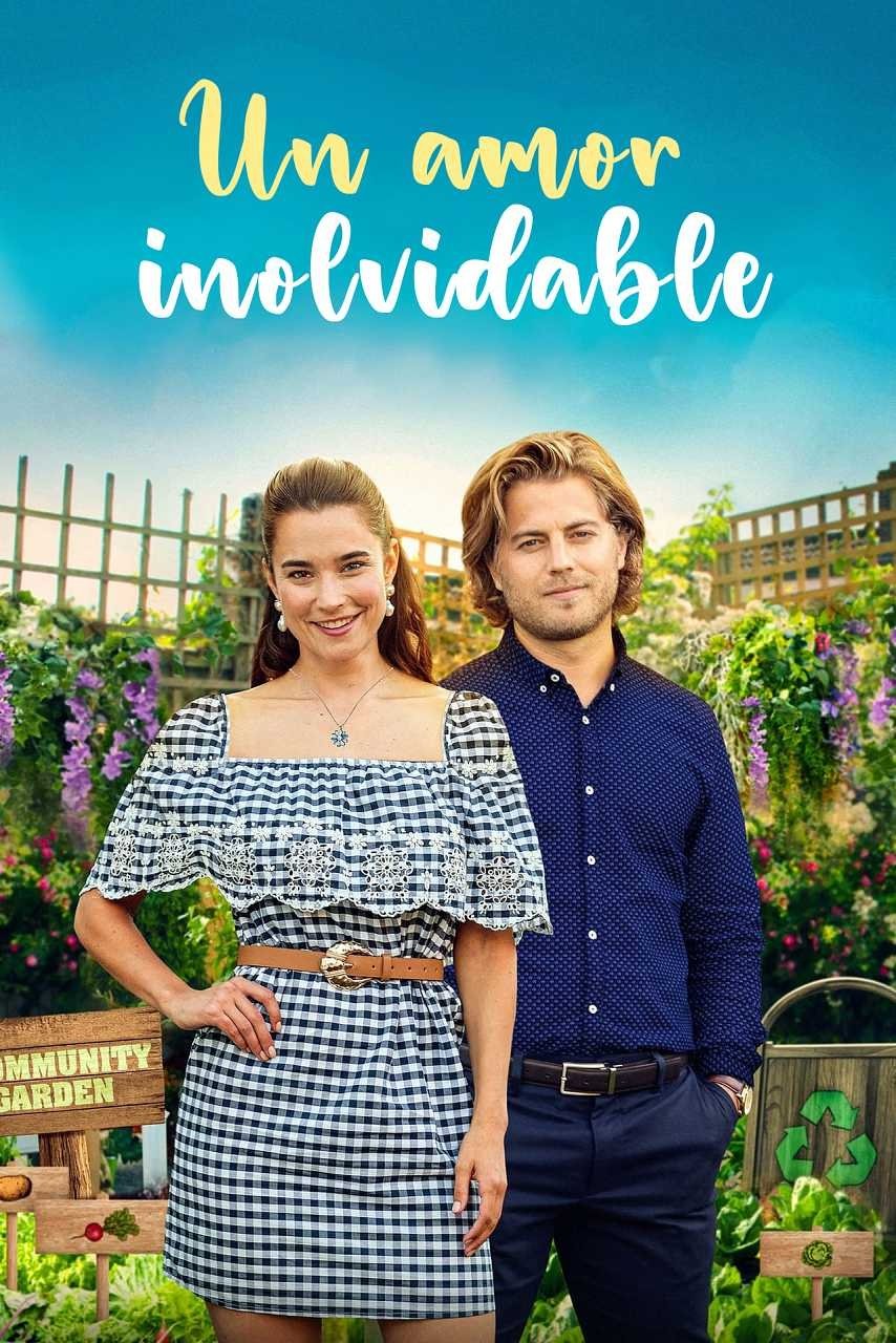 Poster de A Love to Remember