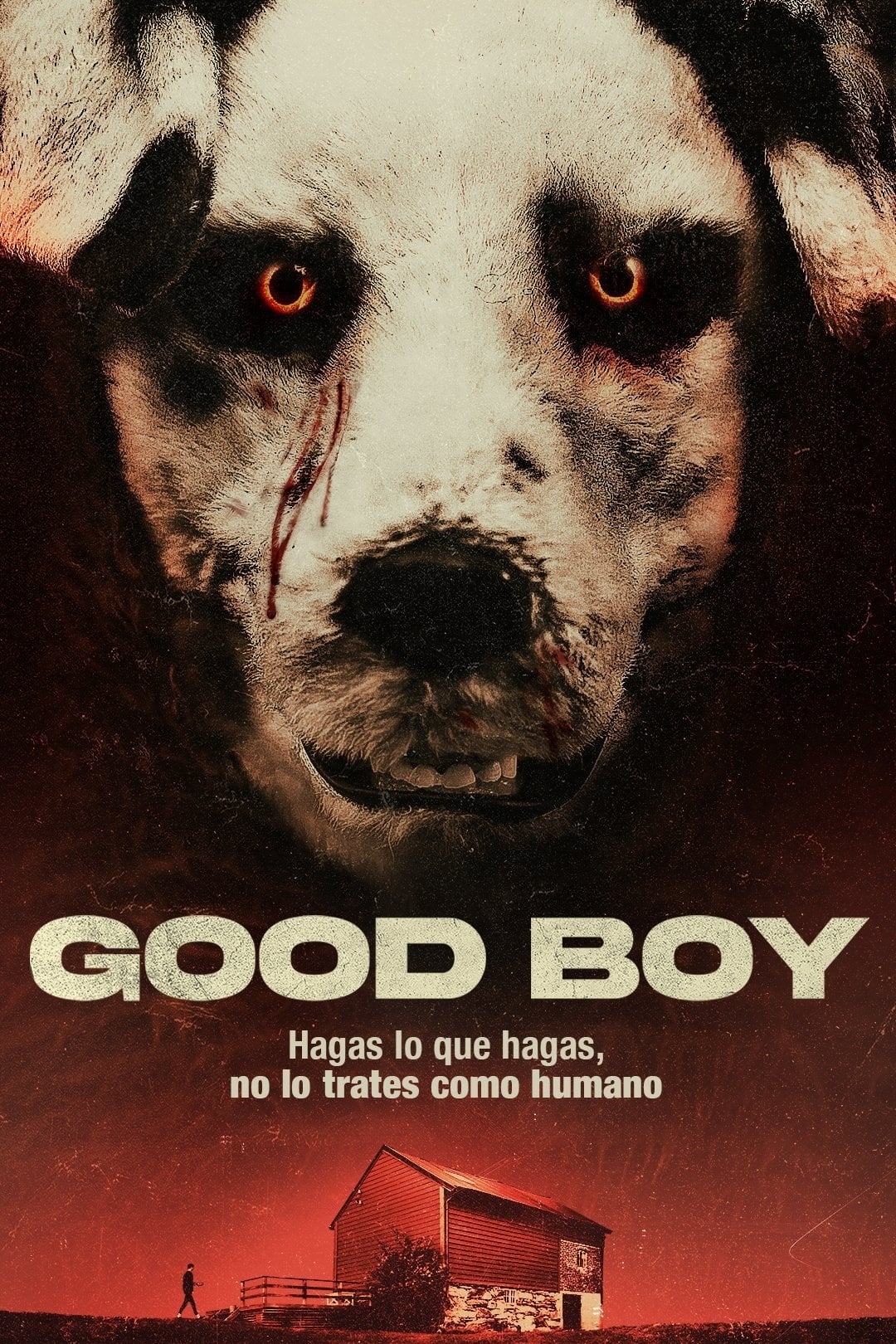 Poster de Good Boy