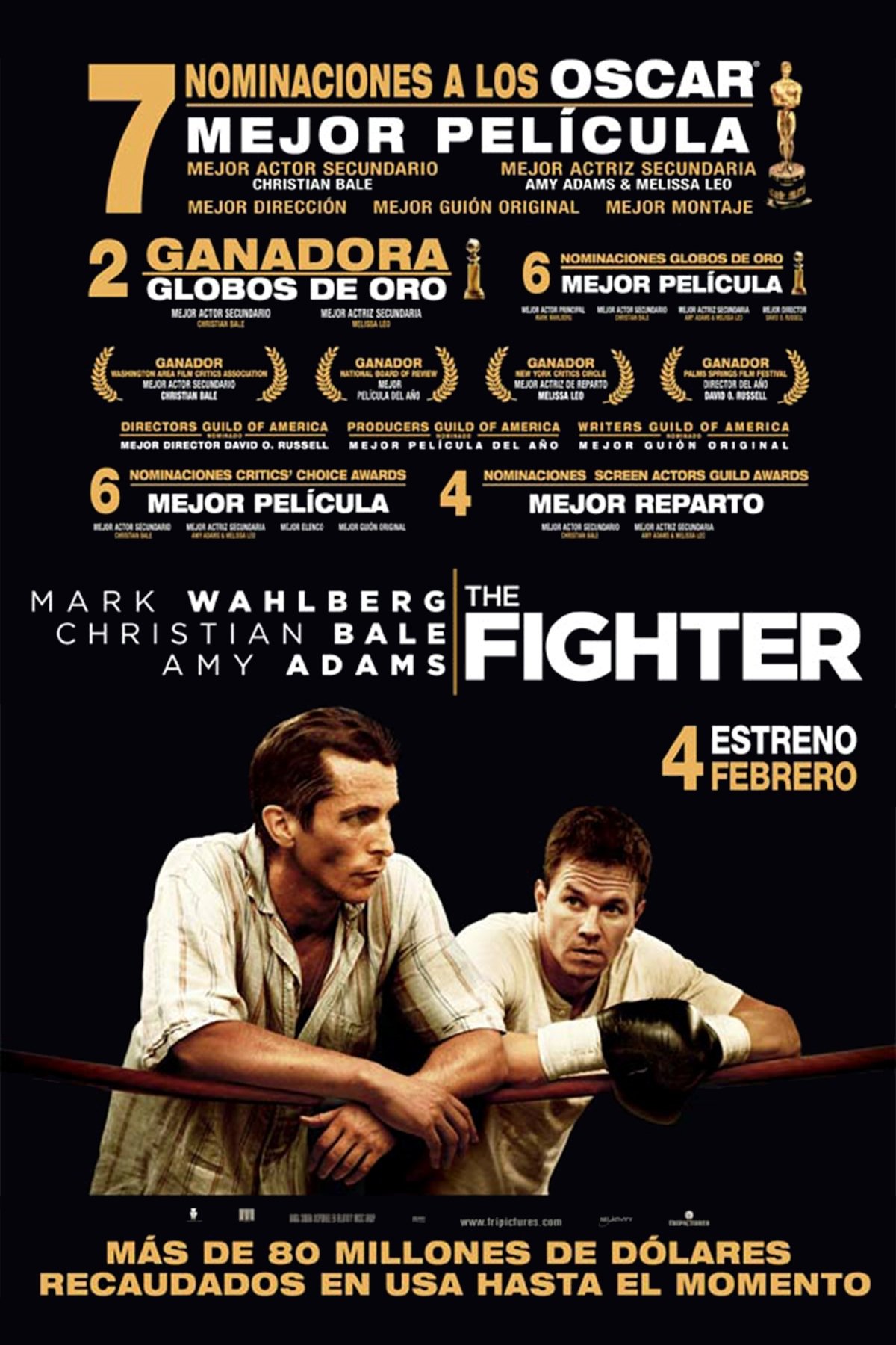 Poster de El peleador