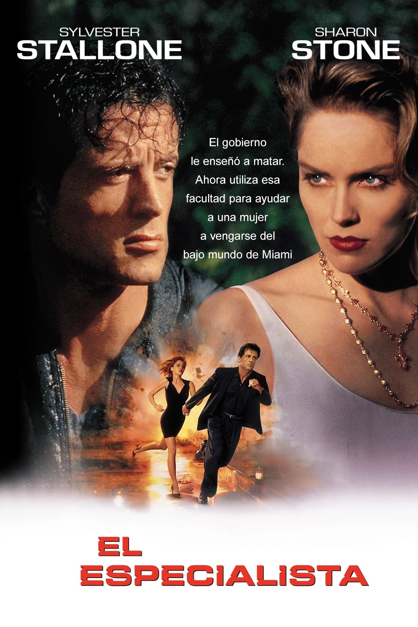 Poster de El Especialista