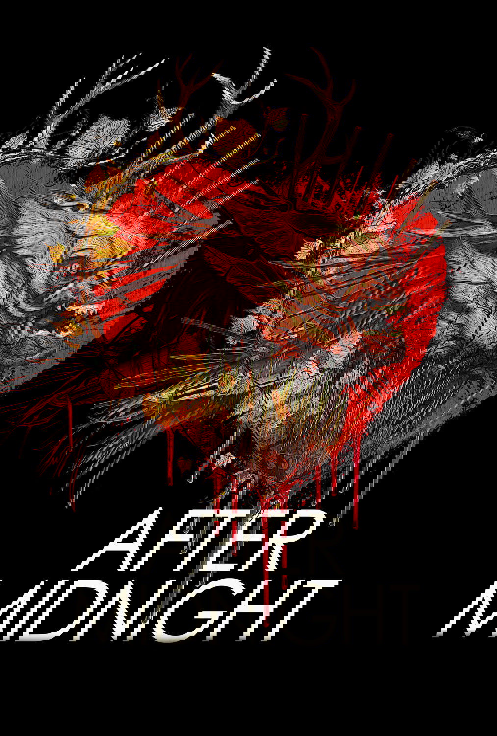 Poster de After Midnight
