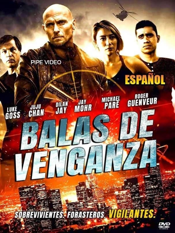 Poster de Balas de Venganza
