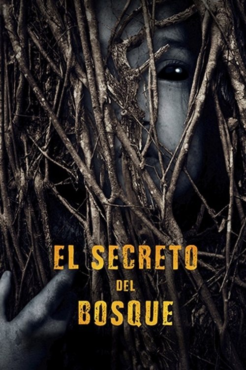 Poster de El Secreto del Bosque