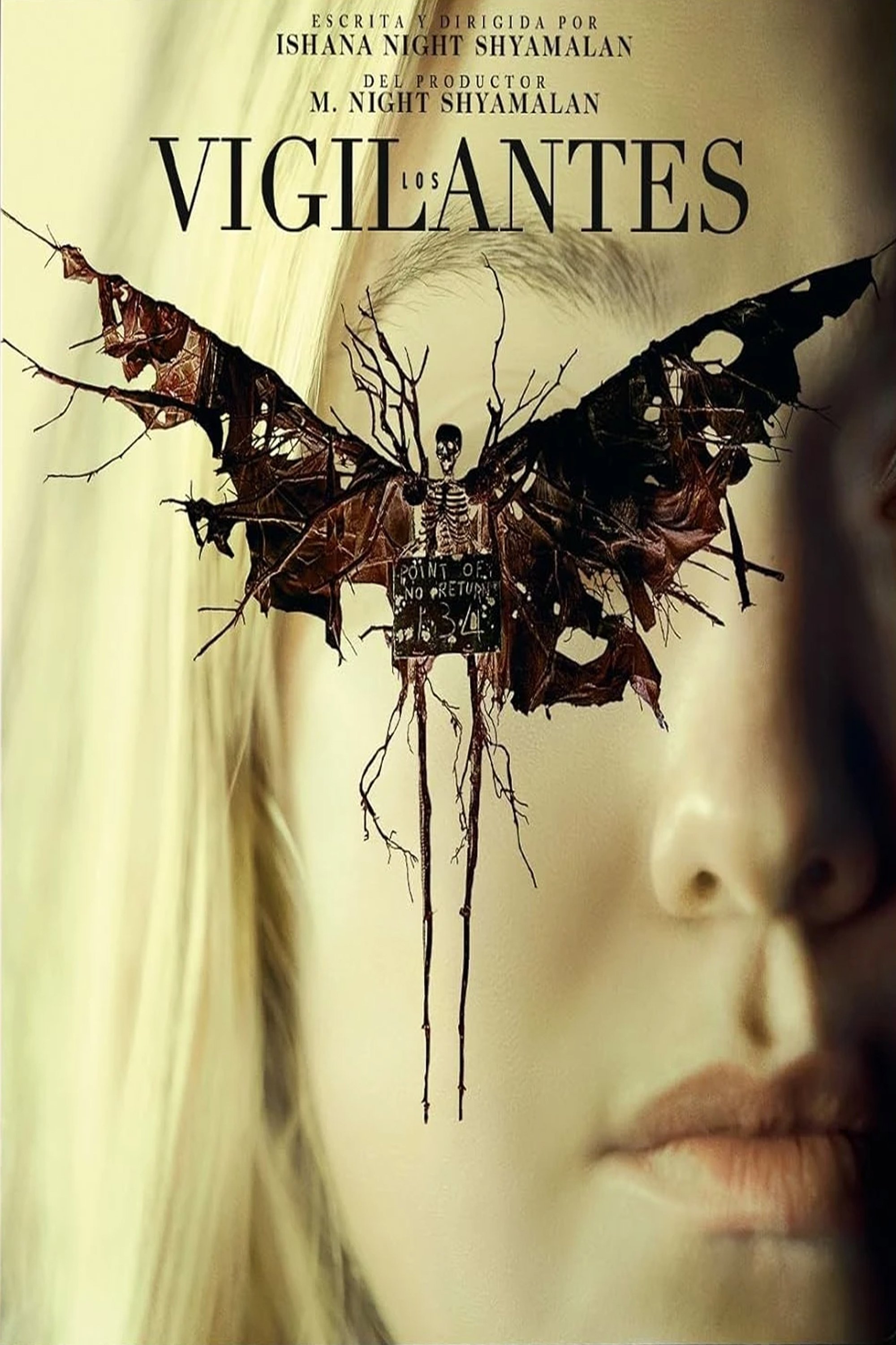 Poster de Observados