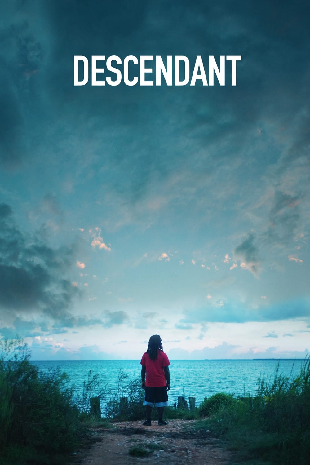 Poster de Los Descendientes