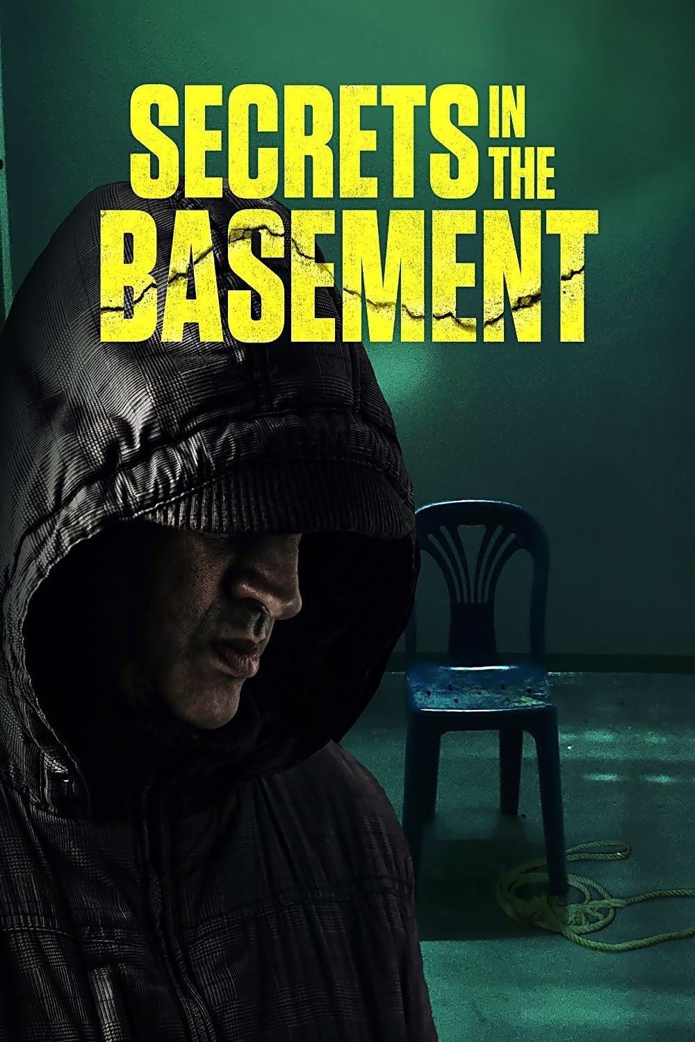 Poster de Secrets in the Basement
