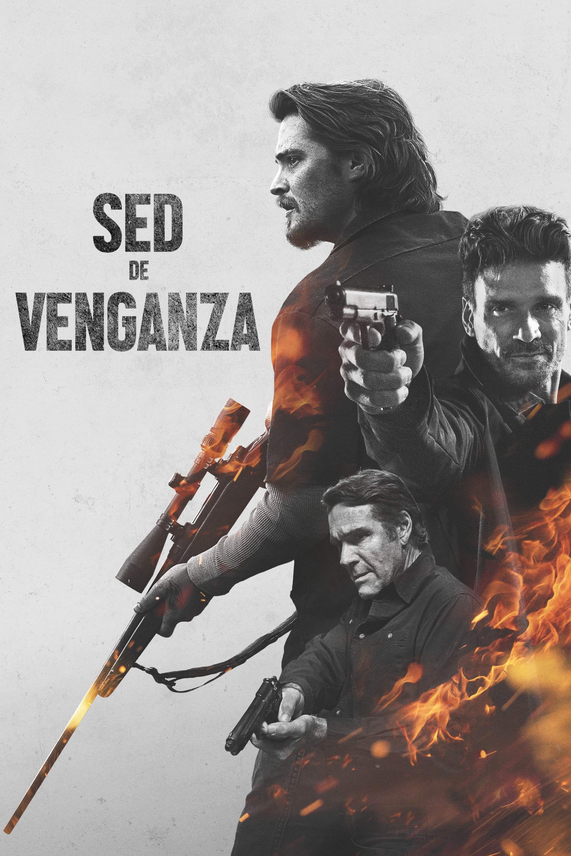 Poster de Into the Ashes